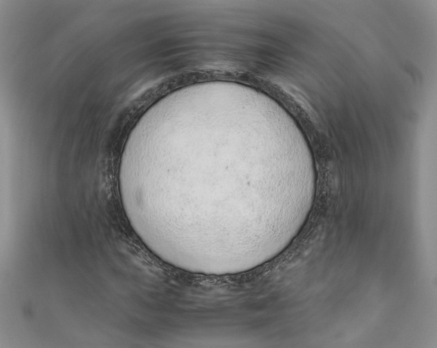 X0000110911015200907091432