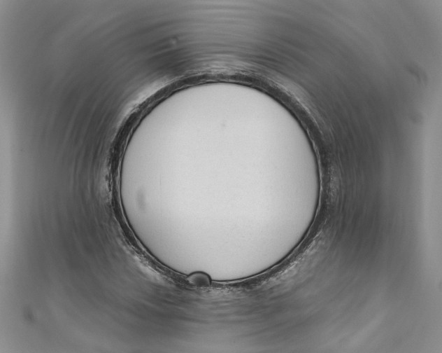 X0000110911018200907091432