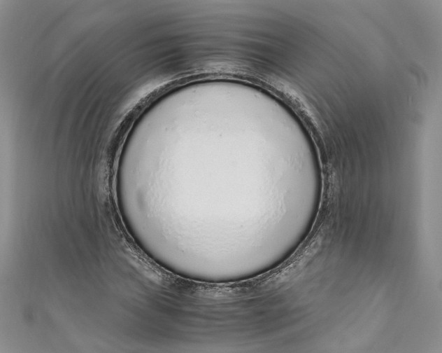 X0000110911019200907091432