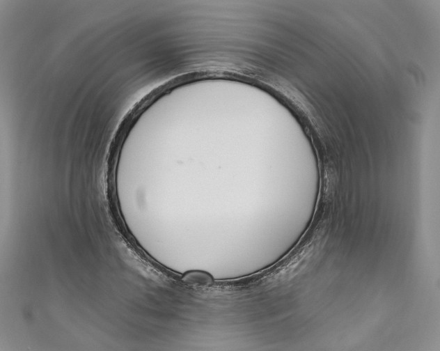 X0000110911020200907091432