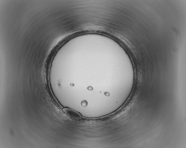 X0000110911022200907091432