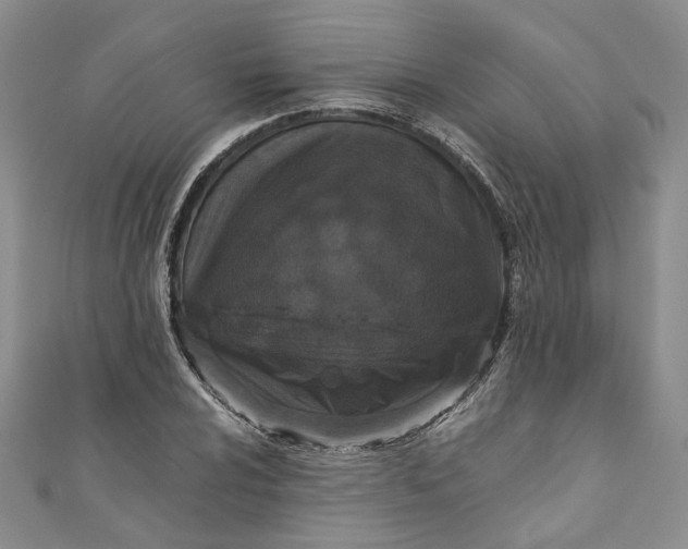 X0000110911024200907091432