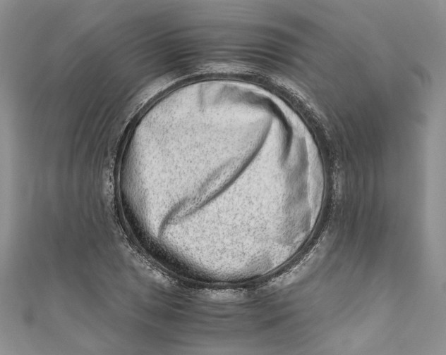 X0000110911025200907091432