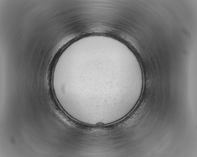 X0000110911026200907091432