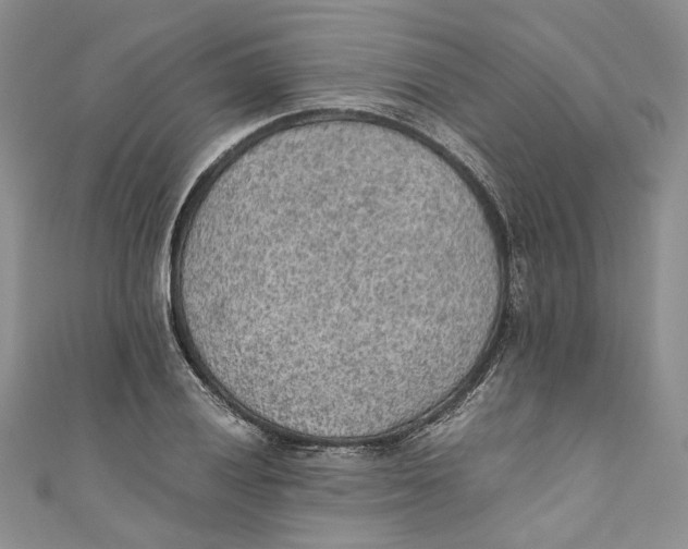 X0000110911028200907091432