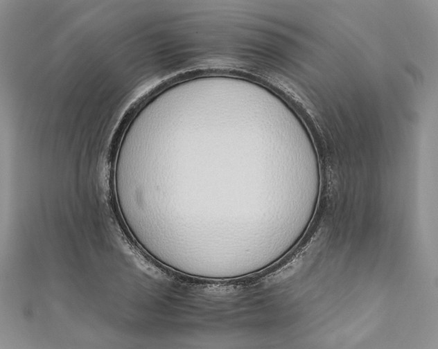 X0000110911029200907091432