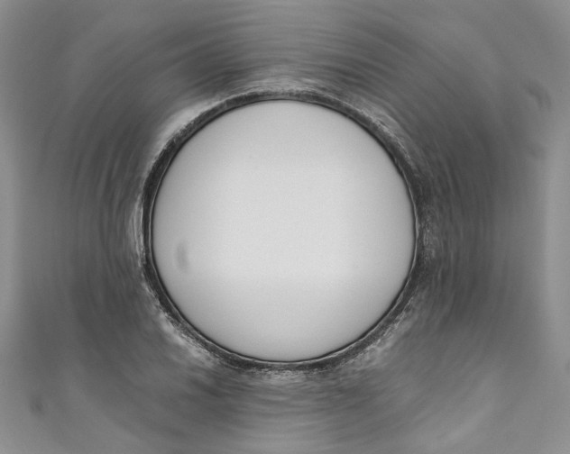 X0000110911030200907091432