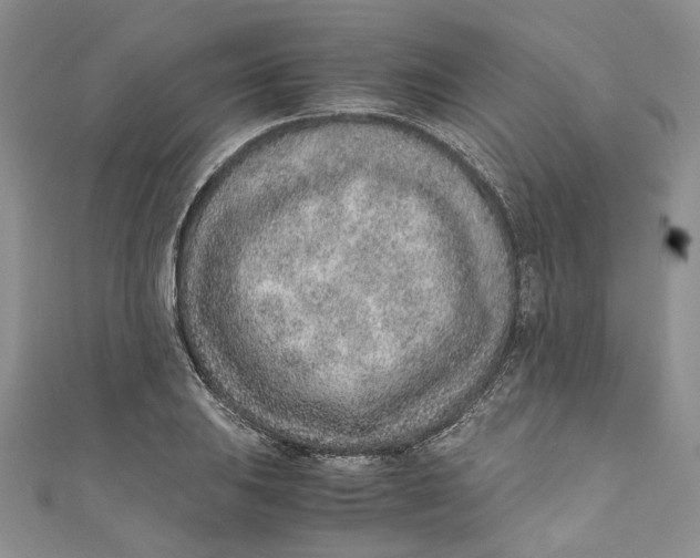 X0000110911031200907091432