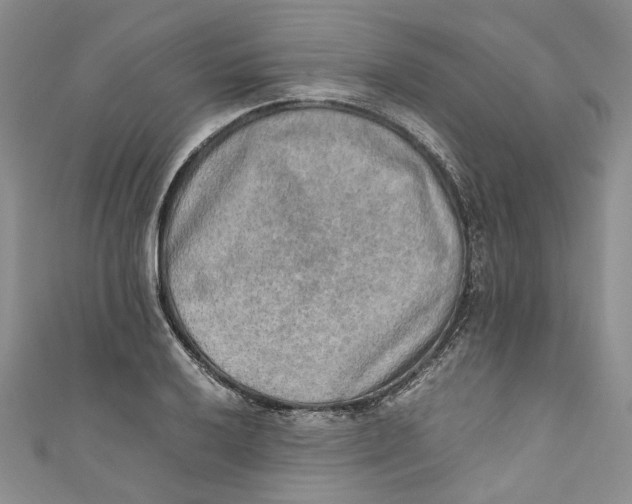 X0000110911032200907091432