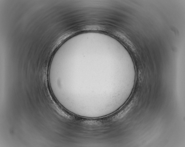 X0000110911033200907091432