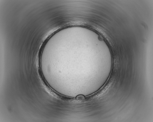 X0000110911034200907091432