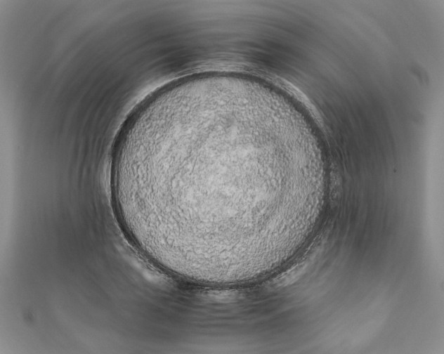 X0000110911035200907091432