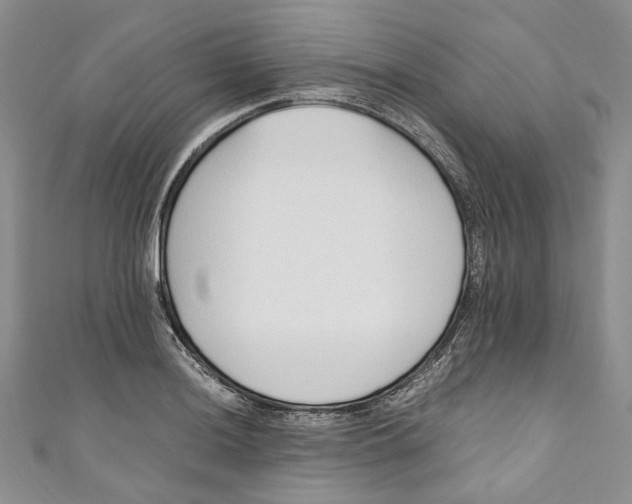 X0000110911036200907091432