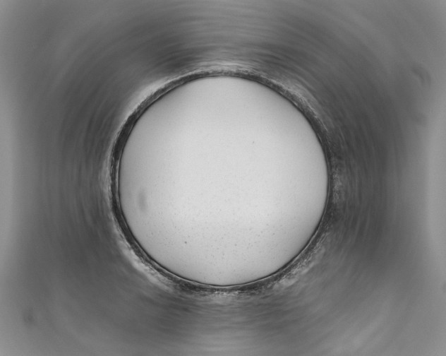 X0000110911038200907091432