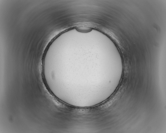 X0000110911040200907091432