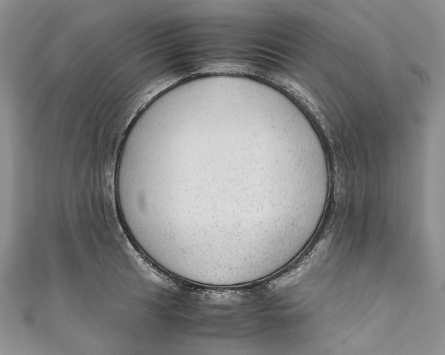 X0000110911041200907091432