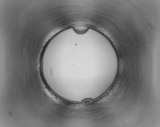 X0000110911042200907091432