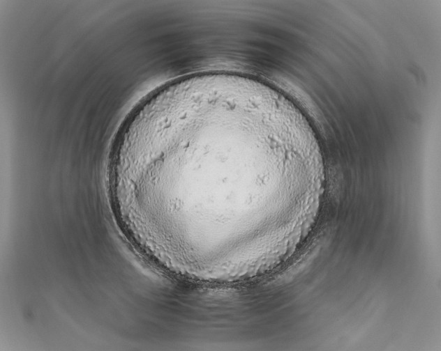 X0000110911043200907091432