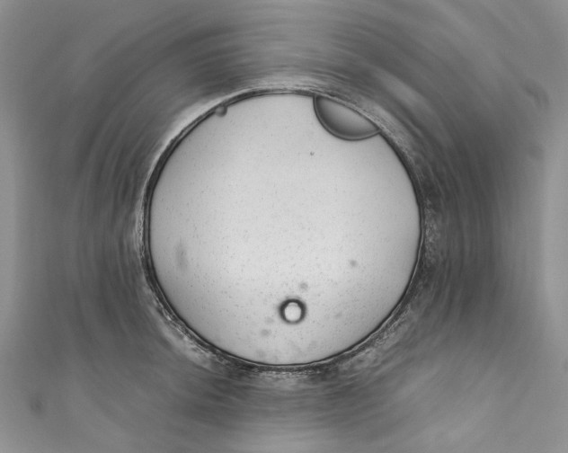 X0000110911044200907091432