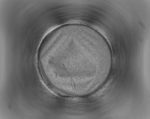 X0000110911045200907091432