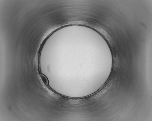 X0000110911046200907091432