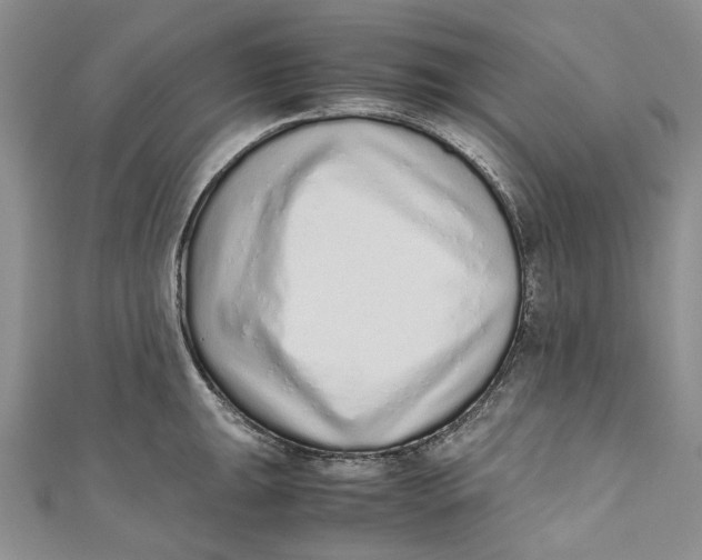 X0000110911047200907091432