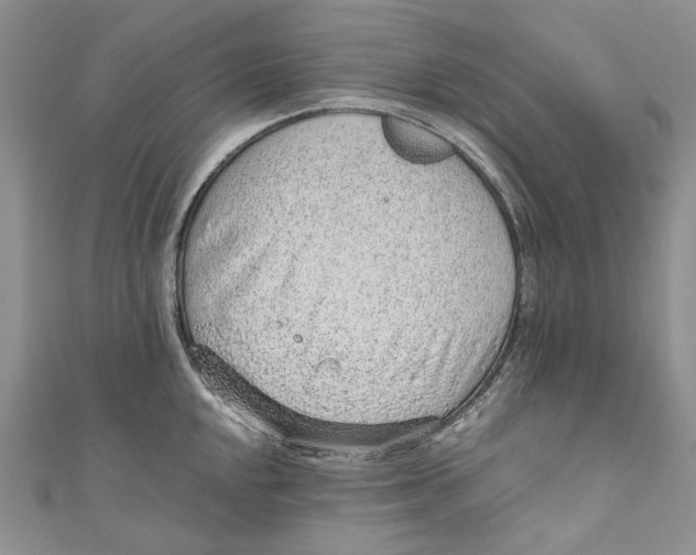 X0000110911048200907091432