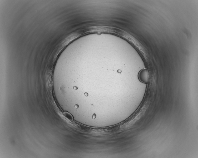 X0000110911049200907091432