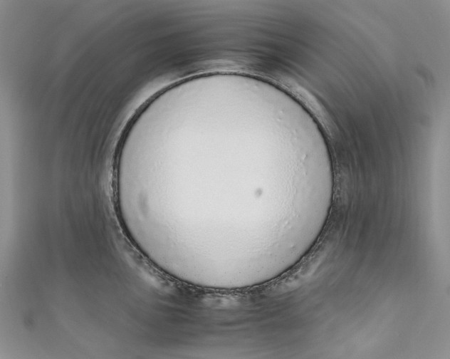 X0000110911051200907091432