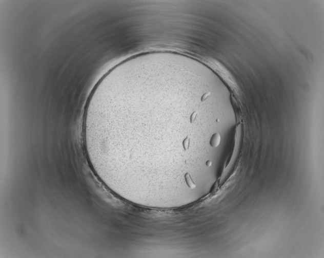 X0000110911052200907091432