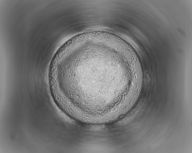 X0000110911055200907091432