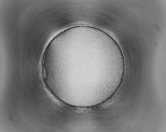 X0000110911056200907091432