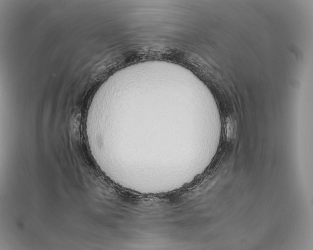 X0000110911059200907091432