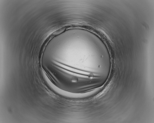 X0000110911065200907091432