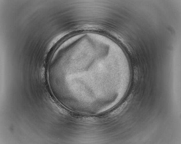 X0000110911066200907091432