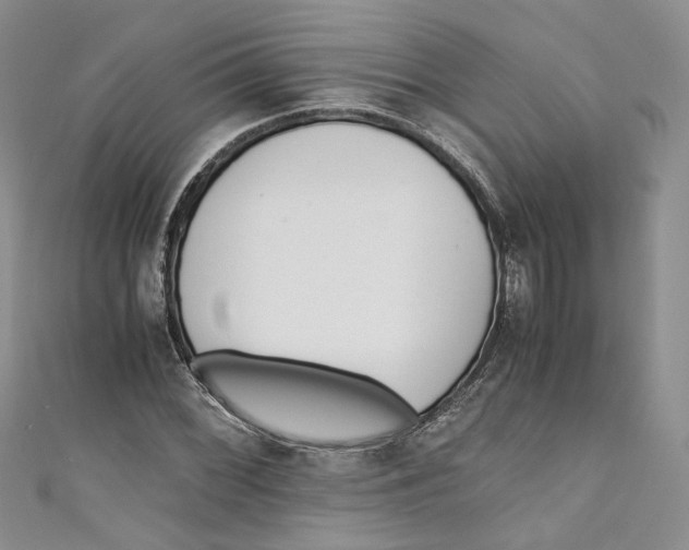 X0000110911068200907091432