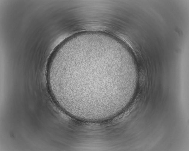 X0000110911071200907091432