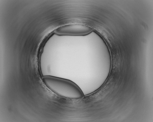 X0000110911072200907091432