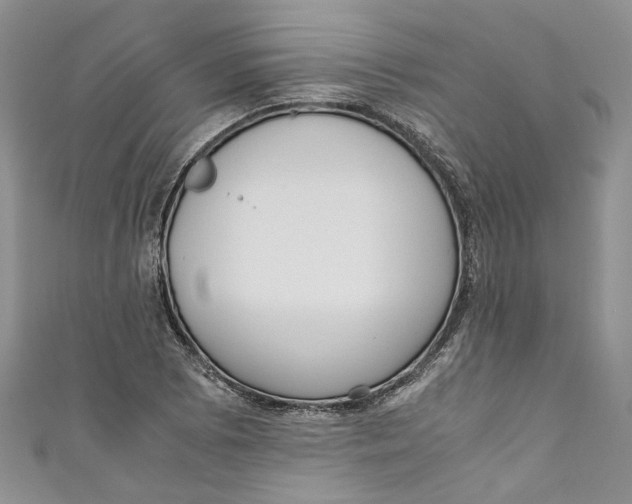 X0000110911073200907091432