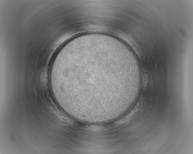 X0000110911074200907091432