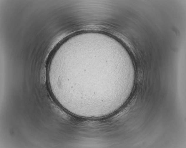 X0000110911075200907091432