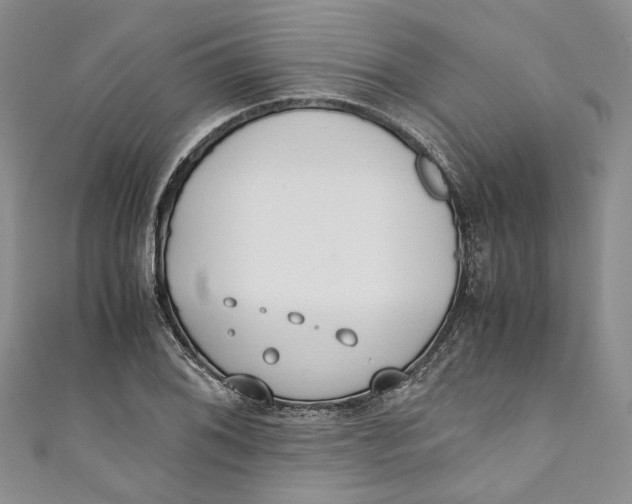 X0000110911076200907091432