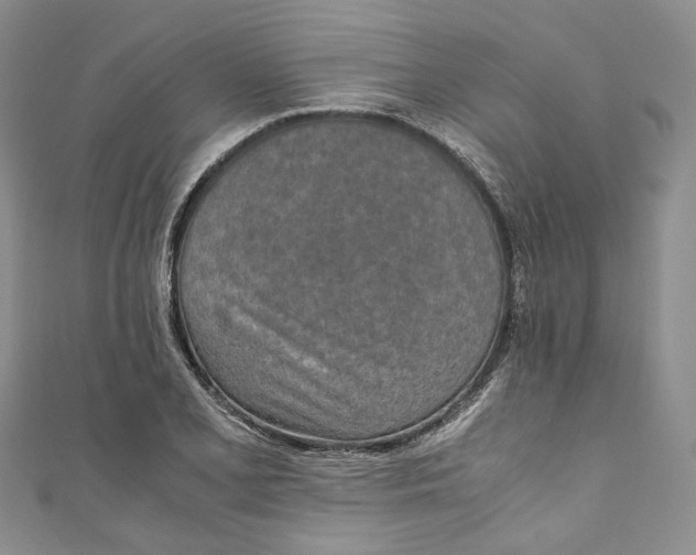 X0000110911077200907091431