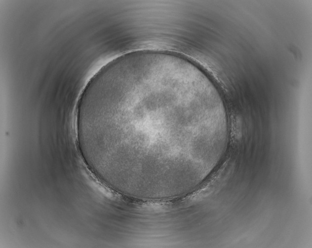 X0000110911078200907091431