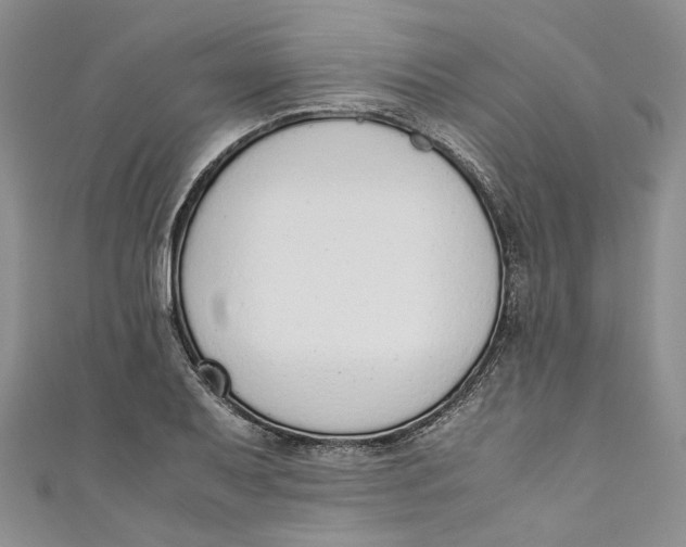 X0000110911079200907091431