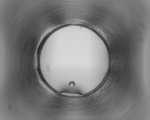 X0000110911080200907091431