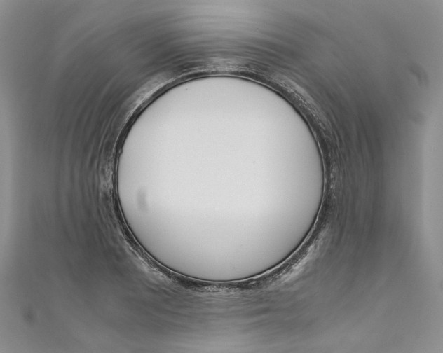 X0000110911081200907091431