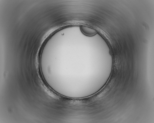 X0000110911082200907091431