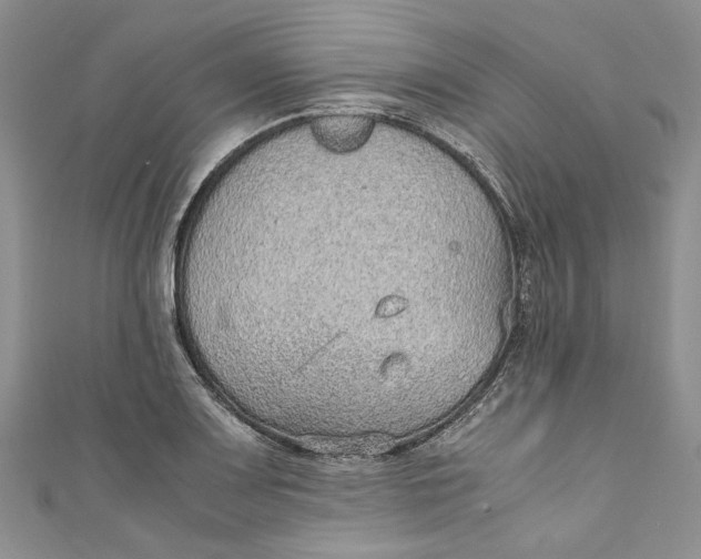 X0000110911083200907091431