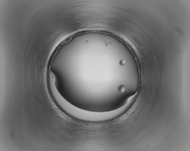 X0000110911085200907091431